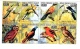 9910001 Madagascar Scarce IMPERF NH BK8