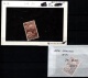 9914392 New Zealand Sc 91,114 MINT H HiCV