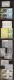 9914408 Guinea NH Stamps Superb!
