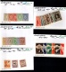 9916458 Surinam Mint Selections HiCV Superb!